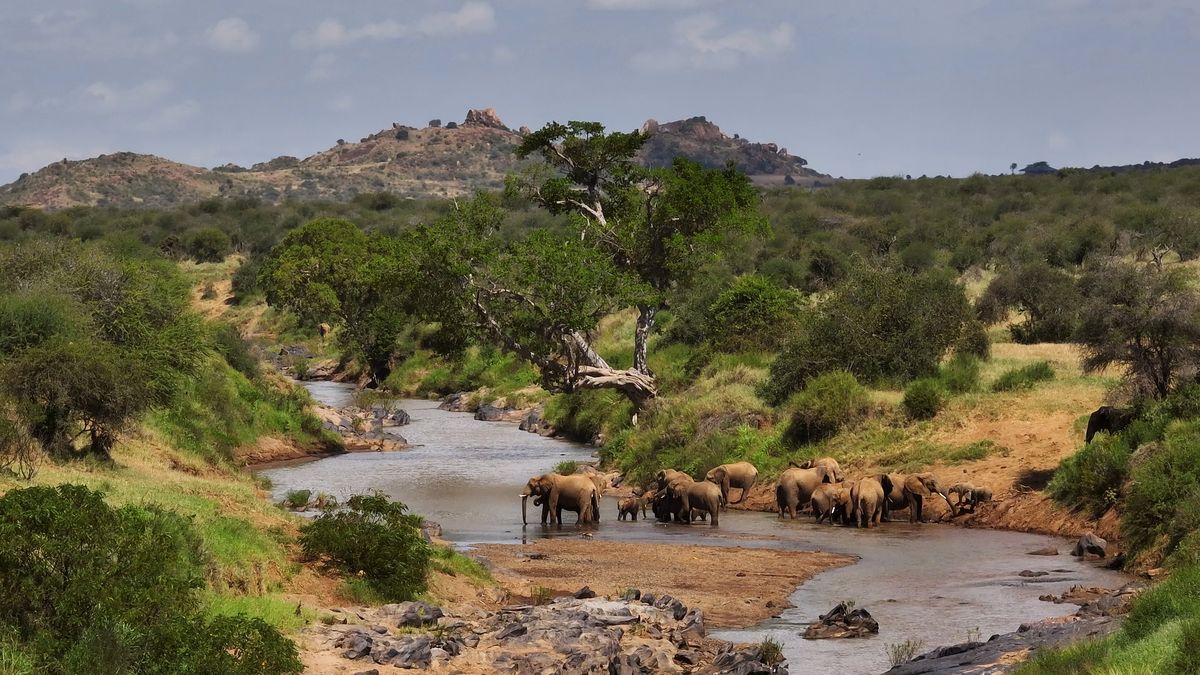 The Ewaso Nyiro river and Laikipia landscape where Dalmas guides